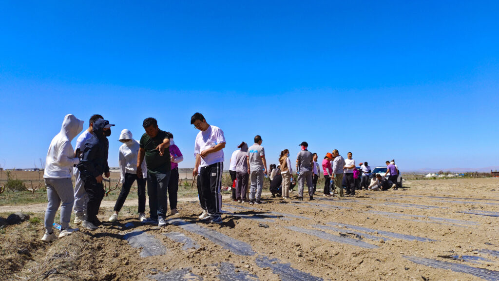 走进田园 播种希望|日博集团物流春种团建活动