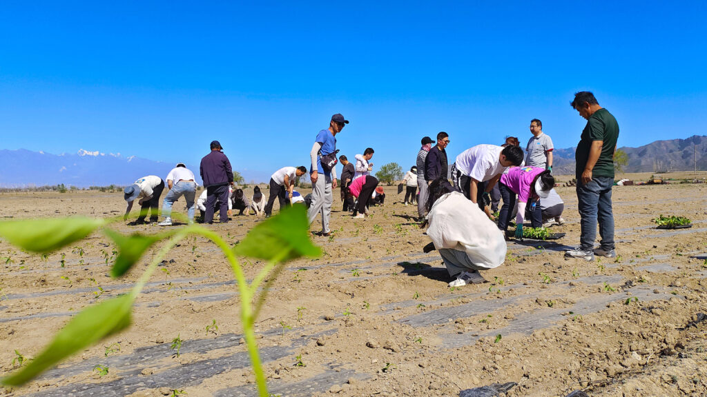 走进田园 播种希望|日博集团物流春种团建活动