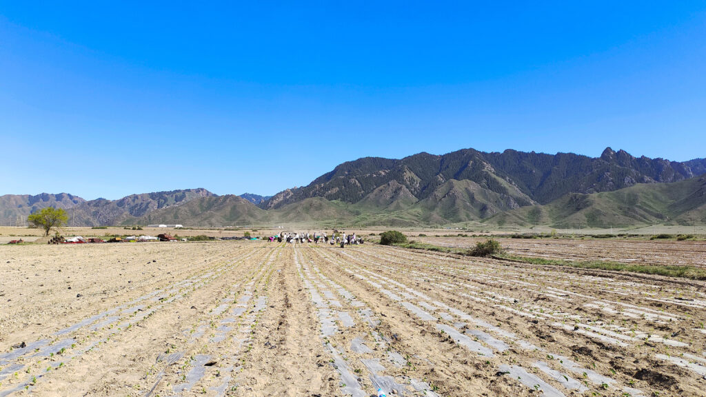 走进田园 播种希望|日博集团物流春种团建活动